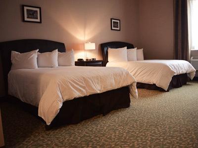 Belvedere - Albany Mini-hôtel 2*
